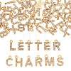 2 Sets Alloy Rhinestone Charms ENAM-TA0008-99LG-1