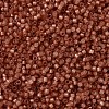 MIYUKI Delica Beads X-SEED-J020-DB2178-3