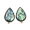 304 Stainless Steel Pave Natural Paua Shell Stud Earring Findings STAS-Z125-06G-1