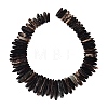Natural Biotite Beads Strands G-Q616-06A-2