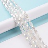 Faceted Electroplated Glass Beads Strands GLAA-G092-D06-3