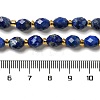 Natural Lapis Lazuli Beads Strands G-H297-C02-01-4