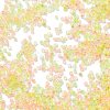 Transparent Colours Glass Seed Beads SEED-H003-01H-3