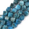 Natural Apatite Beads Strands G-C267-B08-2