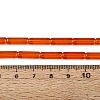 Transparent Glass Beads Strands GLAA-N070-01A-A02-4