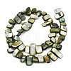 Natural Trochid Shell/Trochus Shell Beads Strands SHEL-S258-082-B01-2