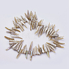 Natural Shell Beads Strands BSHE-P026-25-1
