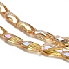 Electroplate Glass Beads Strands EGLA-P066-01A-AB04-3