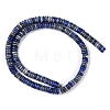 Natural Lapis Lazuli Beads Strands G-Q159-B07-01-3
