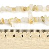 Natural Freshwater Shell Beads Strands BSHE-G036-02-4