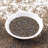 MIYUKI Round Rocailles Beads SEED-G007-RR0357-2