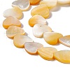 Natural Yellow Shell Beads Strands SHEL-F003-01B-4