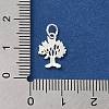 925 Sterling Silver Charms STER-NH0001-34S-3