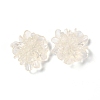 Transparent Resin Cabochons LS-RESI-G027-01A-1