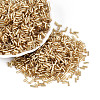 Glass Bugle Beads SEED-R011-22-1