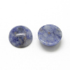 Natural Blue Spot Jasper Cabochons G-R416-12mm-45-2