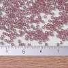 MIYUKI Delica Beads X-SEED-J020-DB0765-4