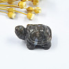Natural Labradorite Display Decorations PW23021812105-1