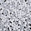Glass Seed Beads SEED-T008-01A-4