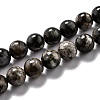 Natural Glaucophane Beads Strands G-O199-01C-1