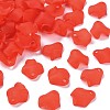 Transparent Acrylic Beads MACR-S373-106-D01-1