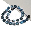 Natural Apatite Beads Strands G-C292-A06-01-3