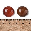 Natural Agate Cabochons GG-CBA19D0-05A-3