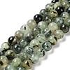 Natural Prehnite Beads Strands X-G-P322-48-10mm-01-1