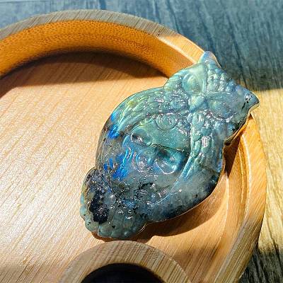 Natural Labradorite Carved Healing Owl with Skull Figurines PW-WG91642-01-1
