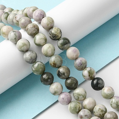 Natural Peace Jade Beads Strands X-G-E598-04B-1
