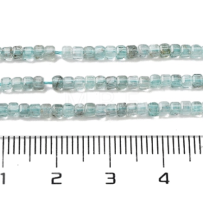 Natural Apatit Beads Strands G-H042-B12-01A-1