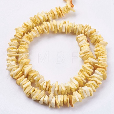 Natural Sea Shell Beads Strands BSHE-K012-08B-1