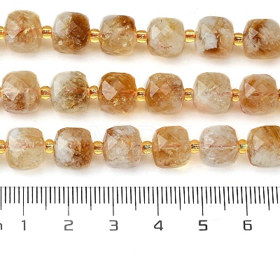 Natural Citrine Beads Strands G-Q010-A24-01-1