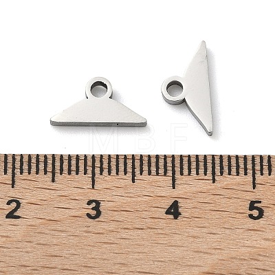 304 Stainless Steel Charms STAS-P433-12A-P-1