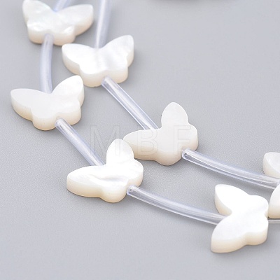 Natural White Shell Mother of Pearl Shell Beads SSHEL-L018-013-1