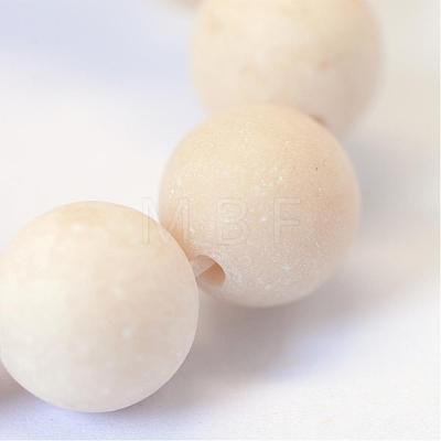 Frosted Natural Fossil Round Bead Strands G-E334-4mm-22-1