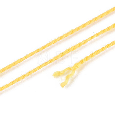 Braided Polyester Cord OCOR-T017-04A-17-1