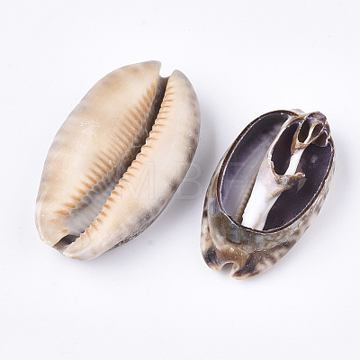 Cowrie Shell Beads SSHEL-T008-26-1