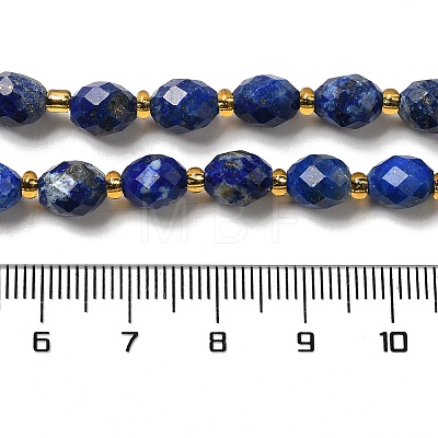 Natural Lapis Lazuli Beads Strands G-H297-C02-01-1