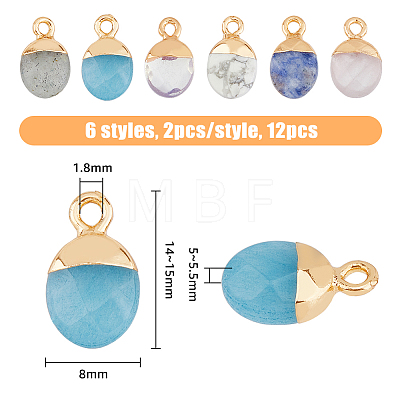 SUPERFINDINGS 12Pcs 6 Styles Electroplated Natural & Synthetic Mixed Gemstone Faceted Oval Charms G-FH0002-15-1