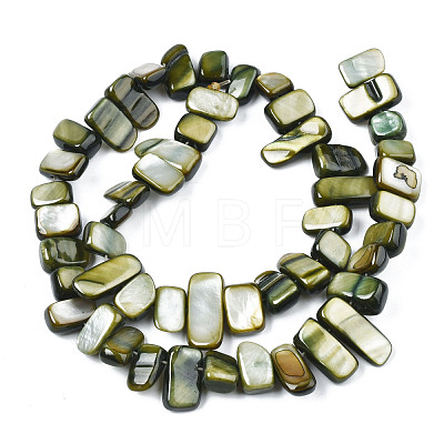 Natural Trochid Shell/Trochus Shell Beads Strands SHEL-S258-082-B01-1