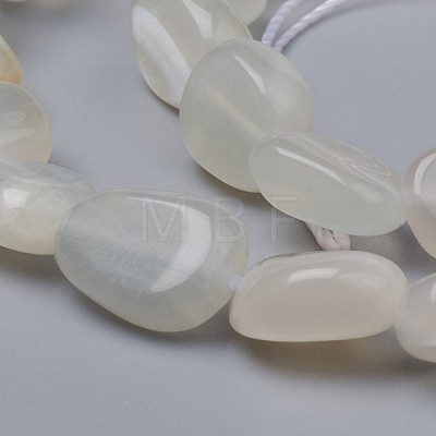 Natural White Moonstone Beads Strands G-L493-63-1