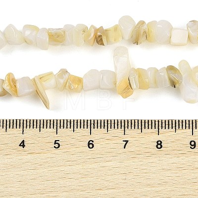 Natural Freshwater Shell Beads Strands BSHE-G036-02-1