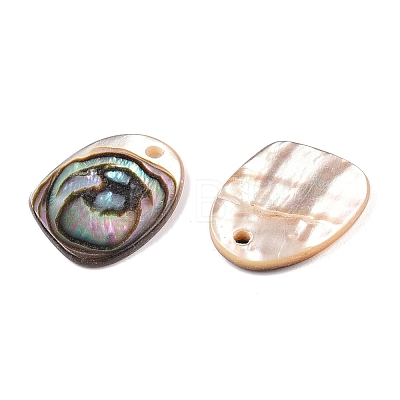 Natural Paua Shell Nuggets Charms SHEL-T020-11B-1