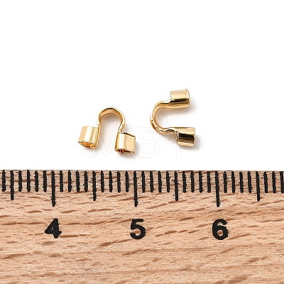 Brass Wire Guardian and Protectors KK-F916-07B-G-1