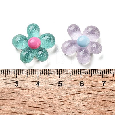 Translucent Resin Decoden Cabochons RESI-B027-01-1