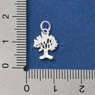 925 Sterling Silver Charms STER-NH0001-34S-1
