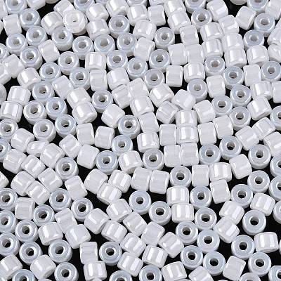 Glass Seed Beads SEED-T008-01A-1