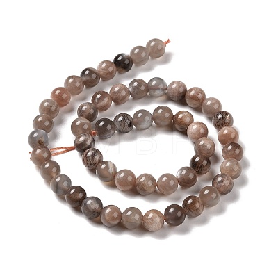Natural Multi-Moonstone Beads Strands G-I247-14B-01-1