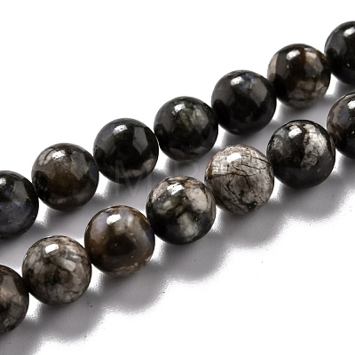 Natural Glaucophane Beads Strands G-O199-01C-1